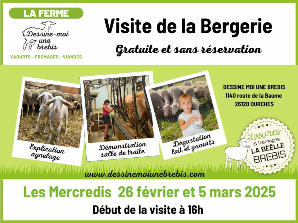 dessine-moi-une-brebis-visite-bergerie-2025-evenement-actualité